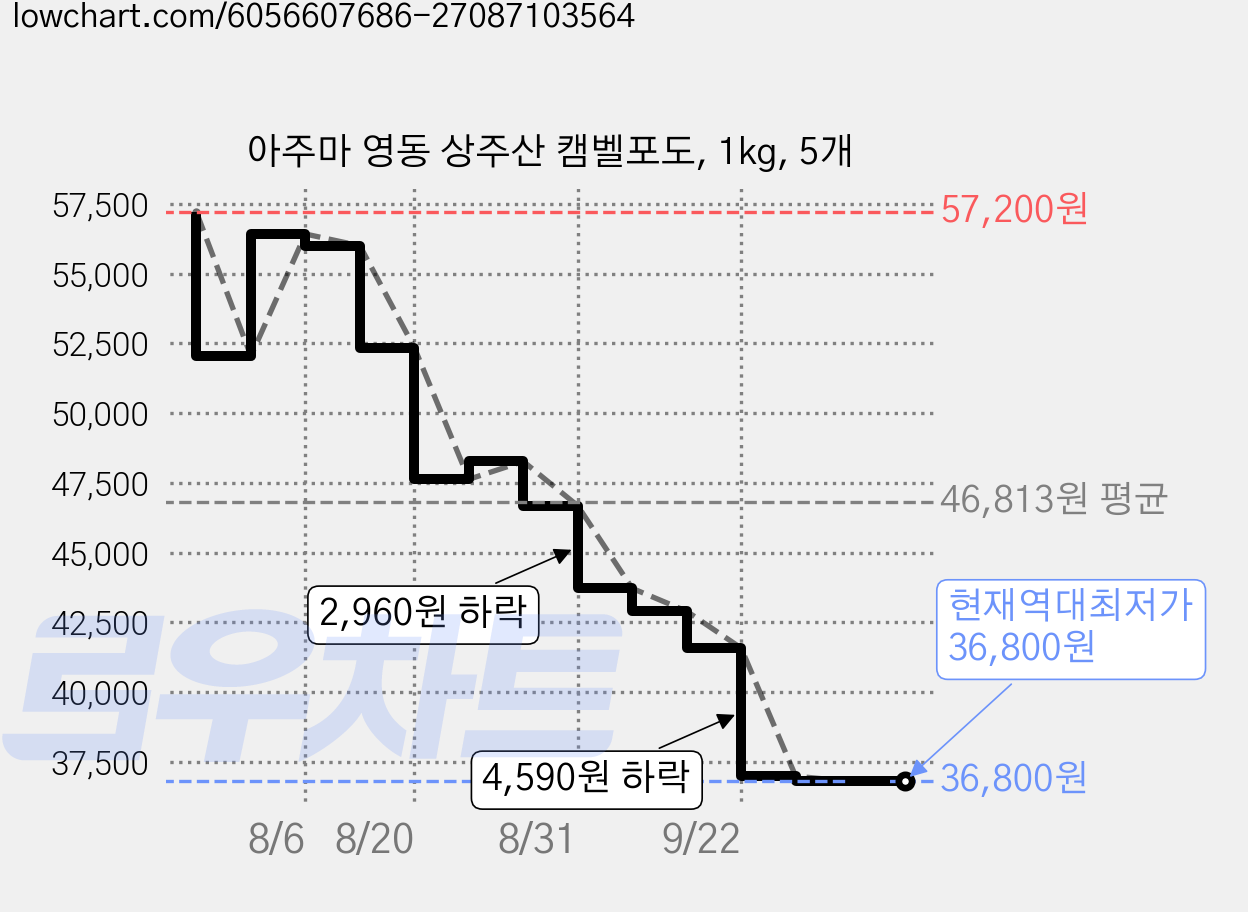 아주마 영동 상주산 캠벨포도, 1kg, 5개 가격 변동 차트, 현재가 36,800원, 역대최저가