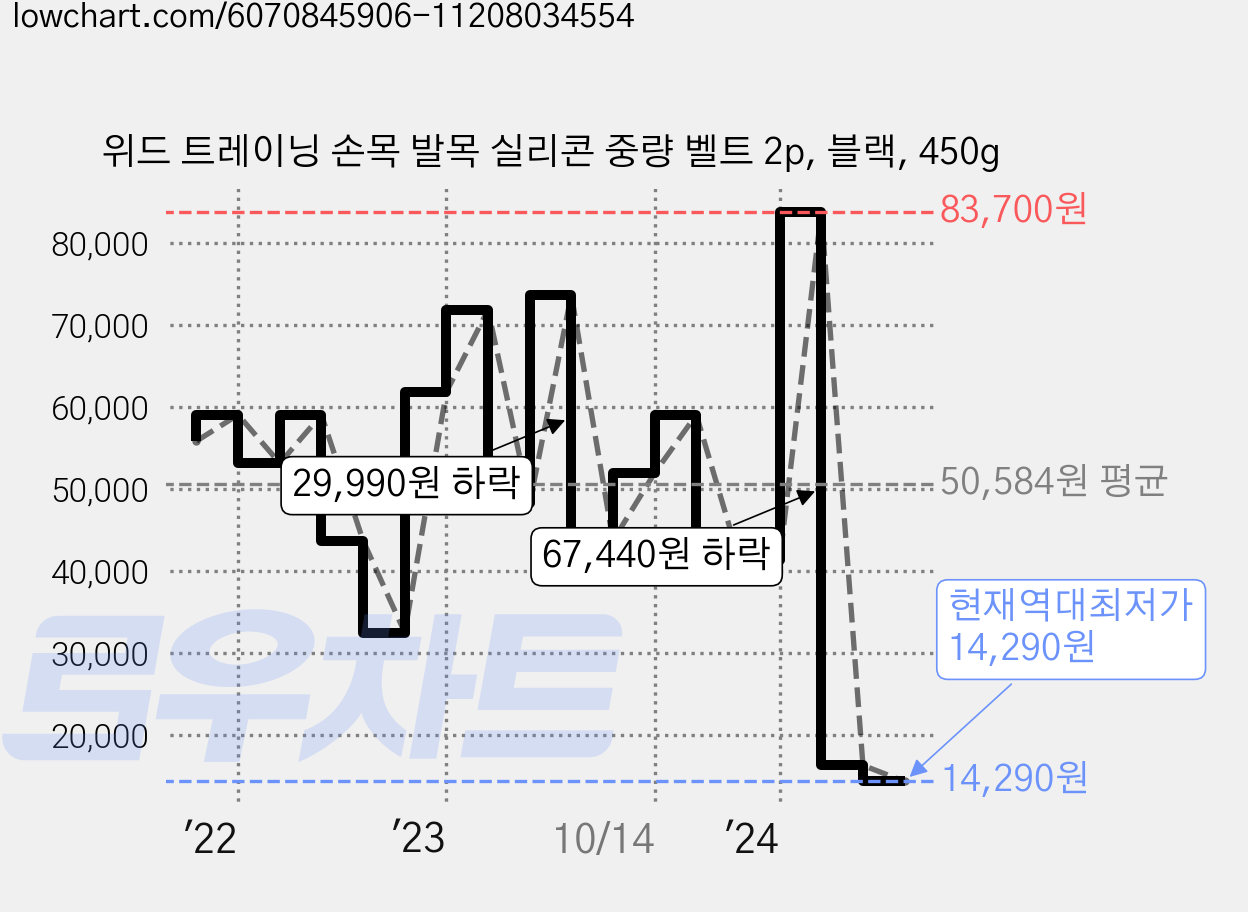위드 트레이닝 손목 발목 실리콘 중량 벨트 2p, 블랙, 450g 가격 변동 차트, 현재가 14,290원, 역대최저가
