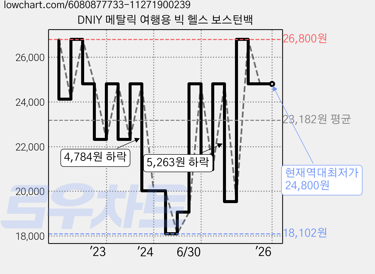 DNIY 메탈릭 여행용 빅 헬스 보스턴백 가격 변동 차트, 현재가 24,800원, 역대최저가