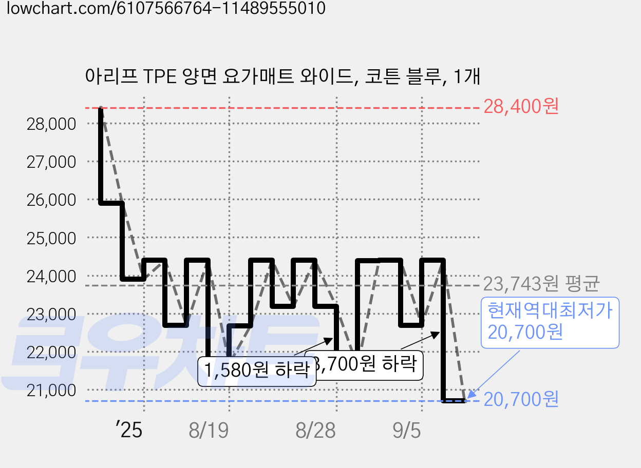 아리프 TPE 양면 요가매트 와이드, 코튼 블루, 1개 가격 변동 차트, 현재가 20,700원, 역대최저가
