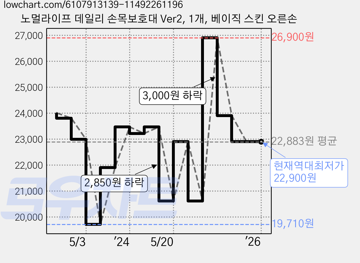 노멀라이프 데일리 손목보호대 Ver2, 1개, 베이직 스킨 오른손 가격 변동 차트, 현재가 22,900원, 역대최저가