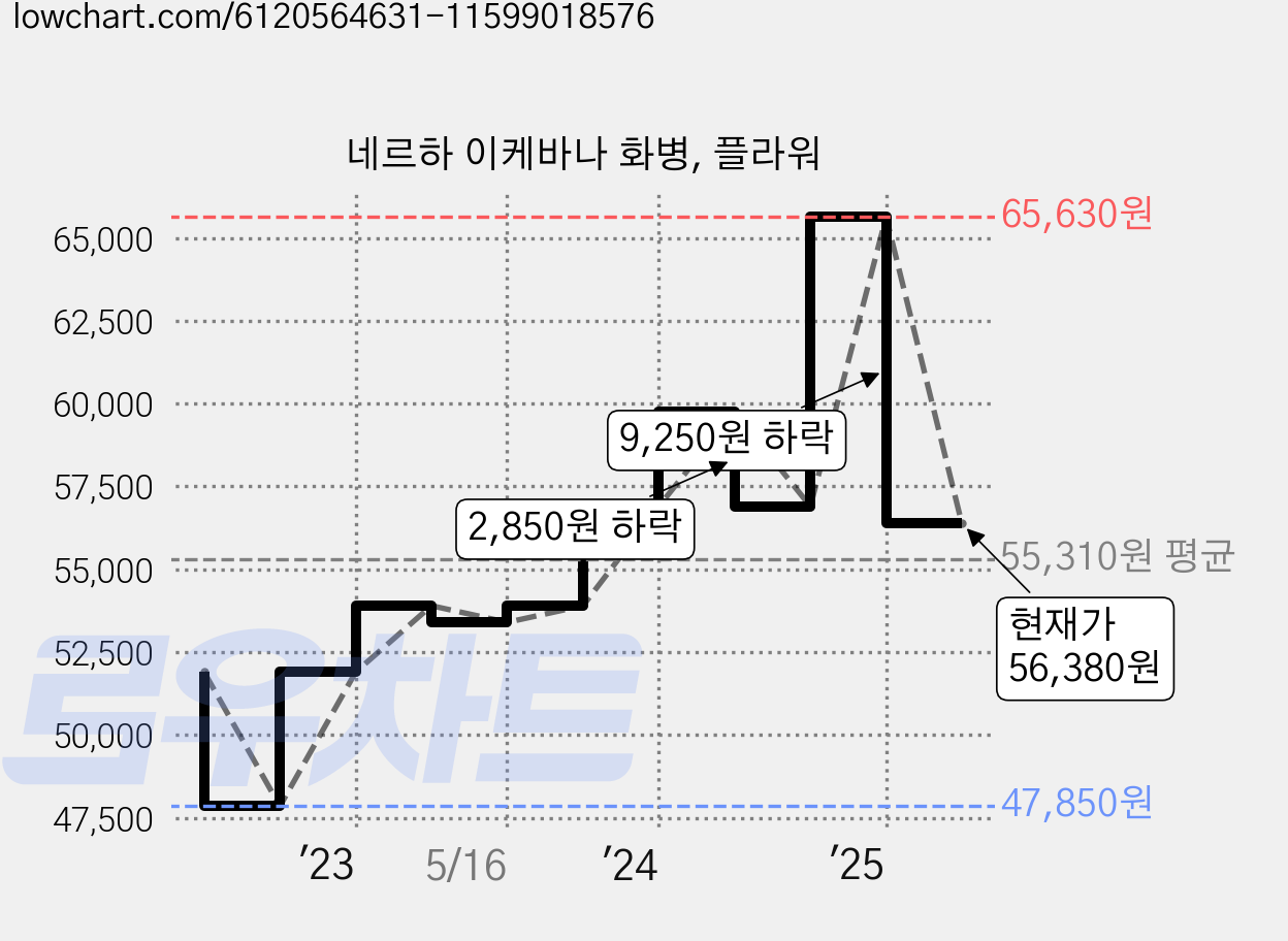 네르하 이케바나 화병, 플라워 가격 변동 차트, 현재가 56,380원, 관측 최저가 47,850원