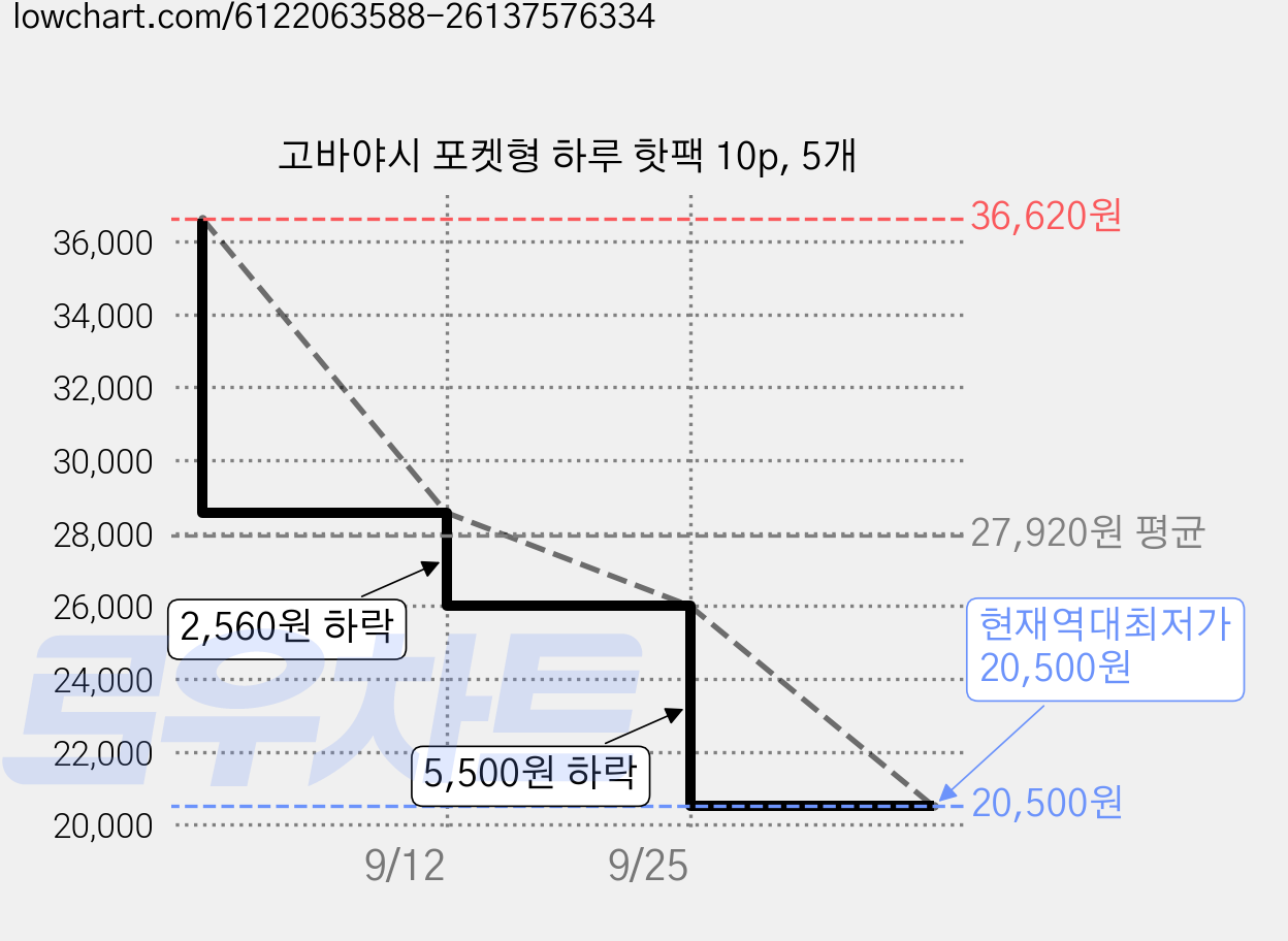 고바야시 포켓형 하루 핫팩 10p, 5개 가격 변동 차트, 현재가 20,500원, 역대최저가