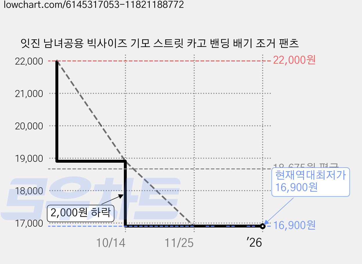 잇진 남녀공용 빅사이즈 기모 스트릿 카고 밴딩 배기 조거 팬츠 가격 변동 차트, 현재가 16,900원, 역대최저가