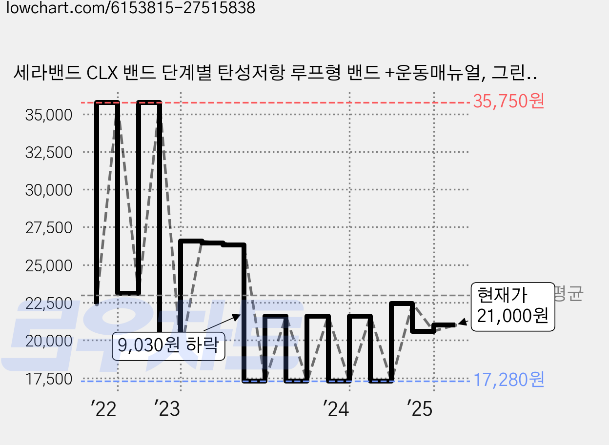 세라밴드 CLX 밴드 단계별 탄성저항 루프형 밴드 +운동매뉴얼, 그린, 1개 가격 변동 차트, 현재가 21,000원, 관측 최저가 17,280원