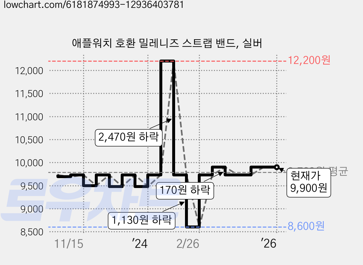 애플워치 호환 밀레니즈 스트랩 밴드, 실버 가격 변동 차트, 현재가 9,900원, 역대최저가