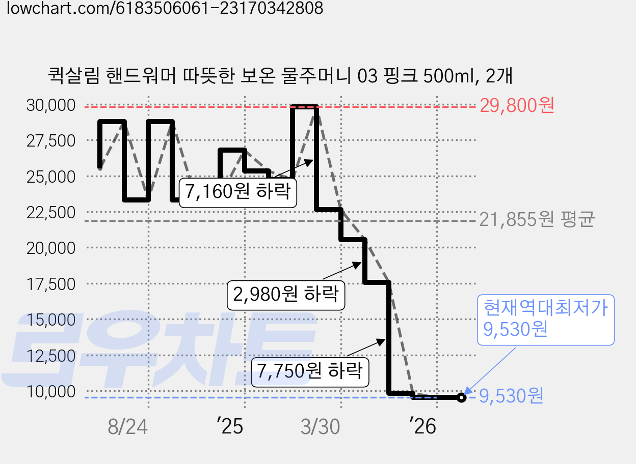 퀵살림 핸드워머 따뜻한 보온 물주머니 03 핑크 500ml, 2개 가격 변동 차트, 현재가 9,530원, 역대최저가