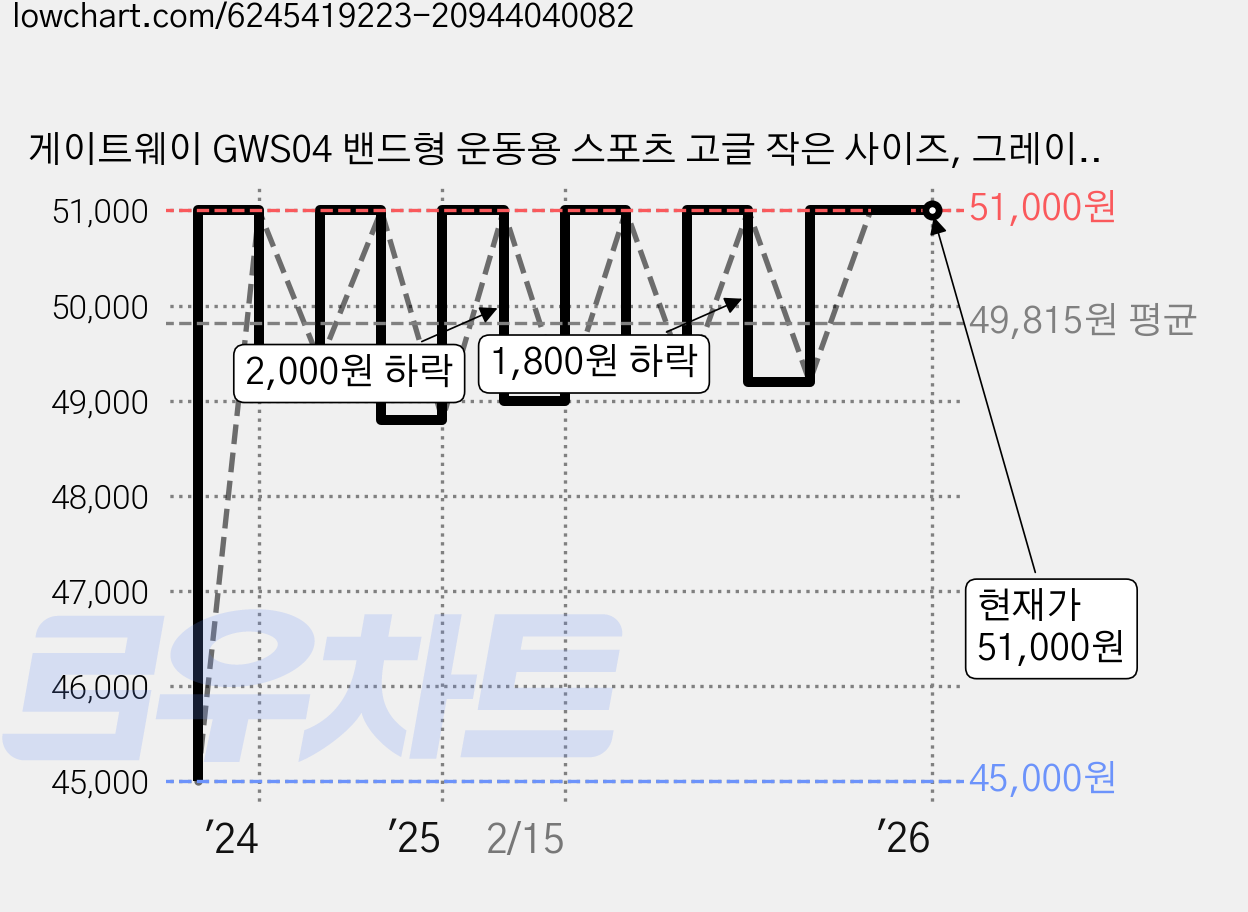 게이트웨이 GWS04 밴드형 운동용 스포츠 고글 작은 사이즈, 그레이-블랙 가격 변동 차트, 현재가 51,000원, 관측 최저가 45,000원