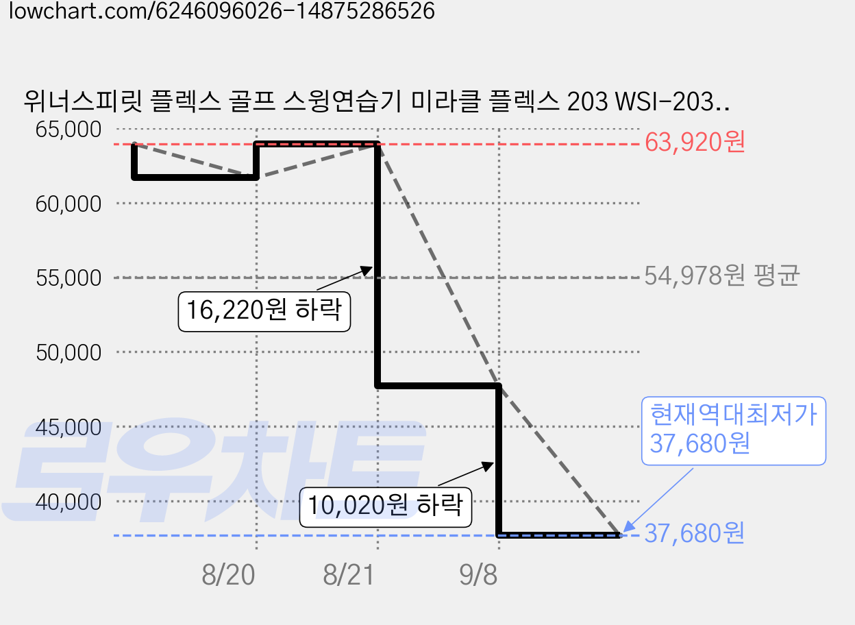 위너스피릿 플렉스 골프 스윙연습기 미라클 플렉스 203 WSI-203, 1개, 미라클-203_카보닉 화이트 가격 변동 차트, 현재가 37,680원, 역대최저가