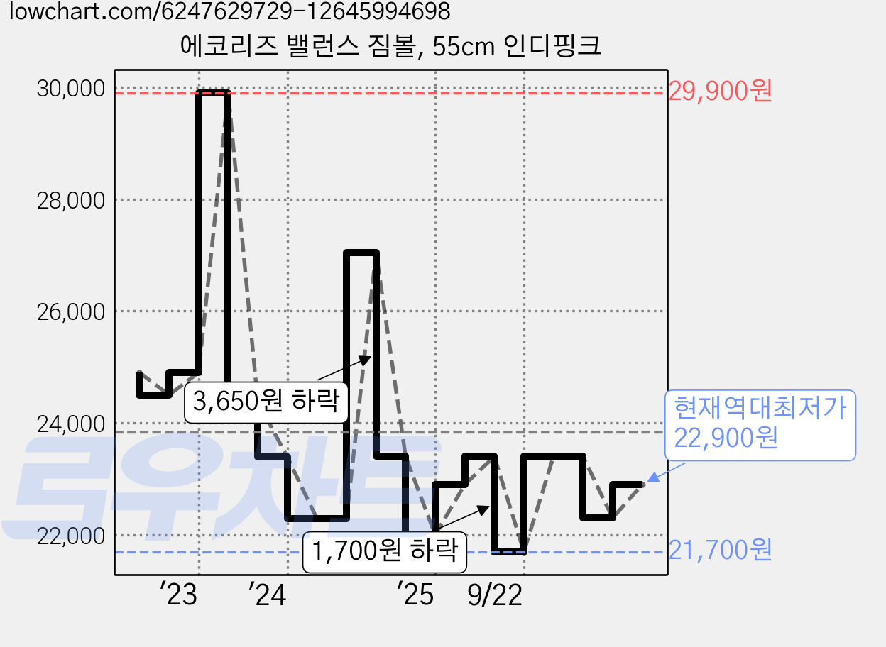 에코리즈 밸런스 짐볼, 55cm 인디핑크 가격 변동 차트, 현재가 22,900원, 역대최저가