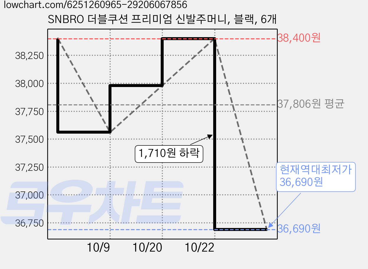 SNBRO 더블쿠션 프리미엄 신발주머니, 블랙, 6개 가격 변동 차트, 현재가 36,690원, 역대최저가