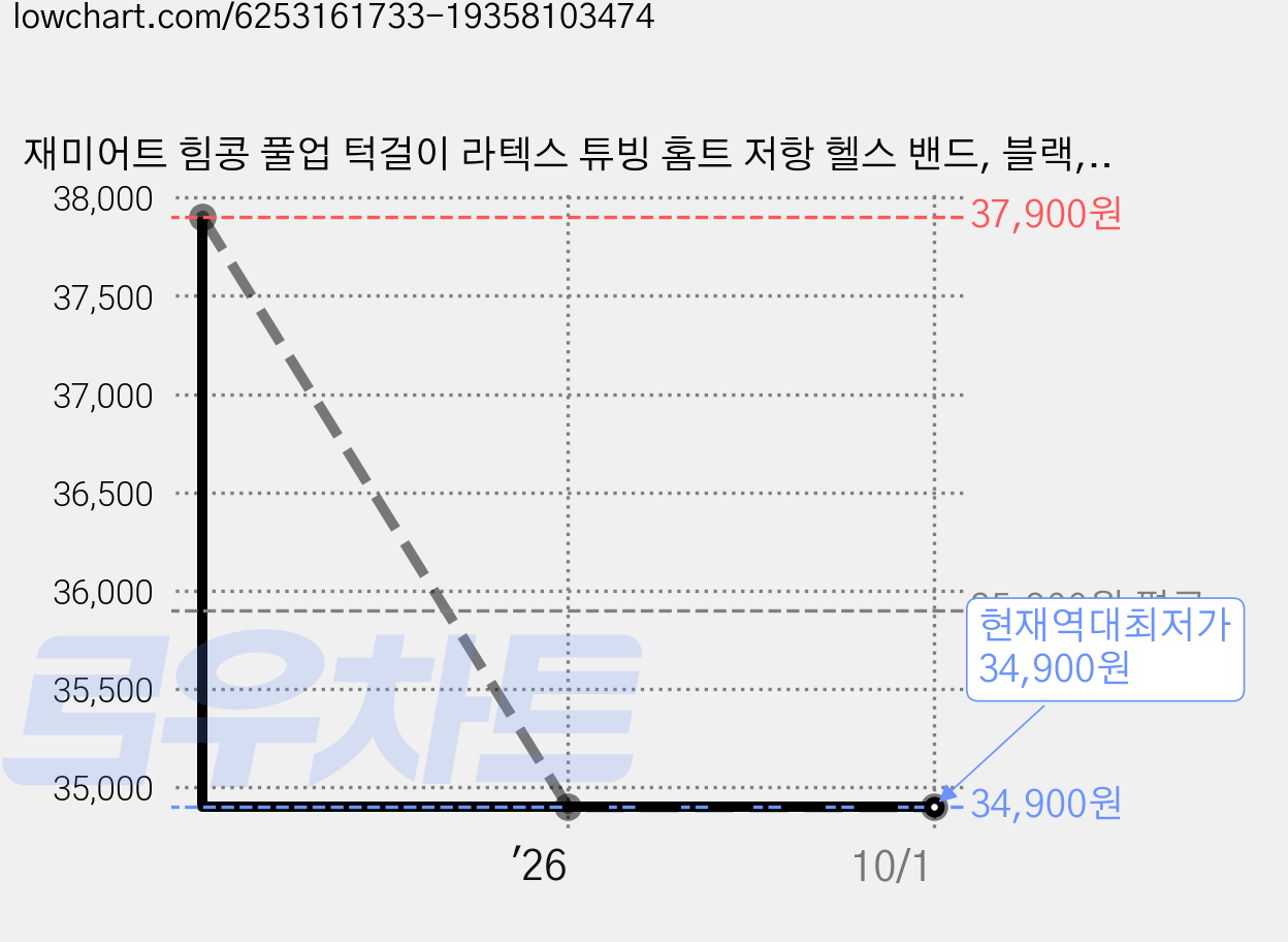 재미어트 힘콩 풀업 턱걸이 라텍스 튜빙 홈트 저항 헬스 밴드, 블랙, 1개 가격 변동 차트, 현재가 34,900원, 역대최저가