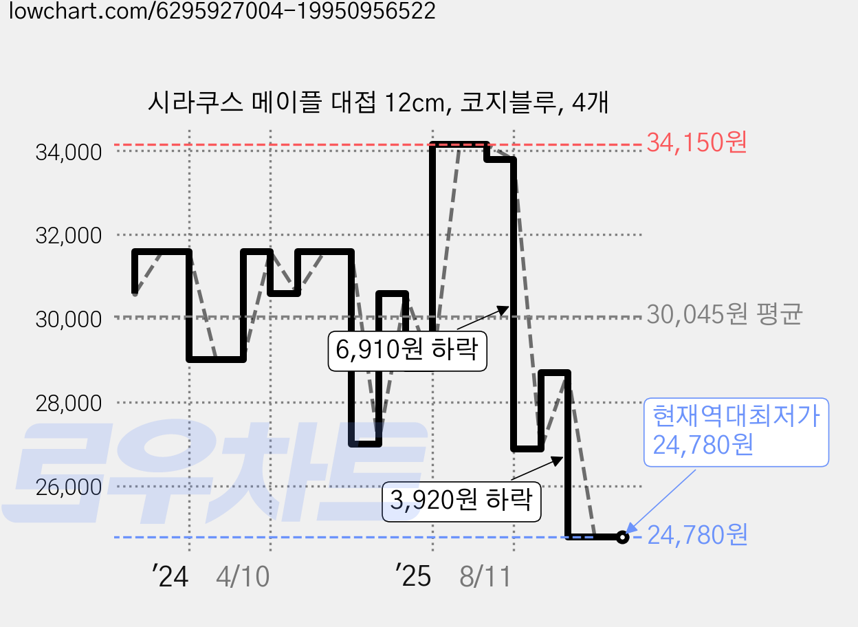 시라쿠스 메이플 대접 12cm, 코지블루, 4개 가격 변동 차트, 현재가 24,780원, 역대최저가