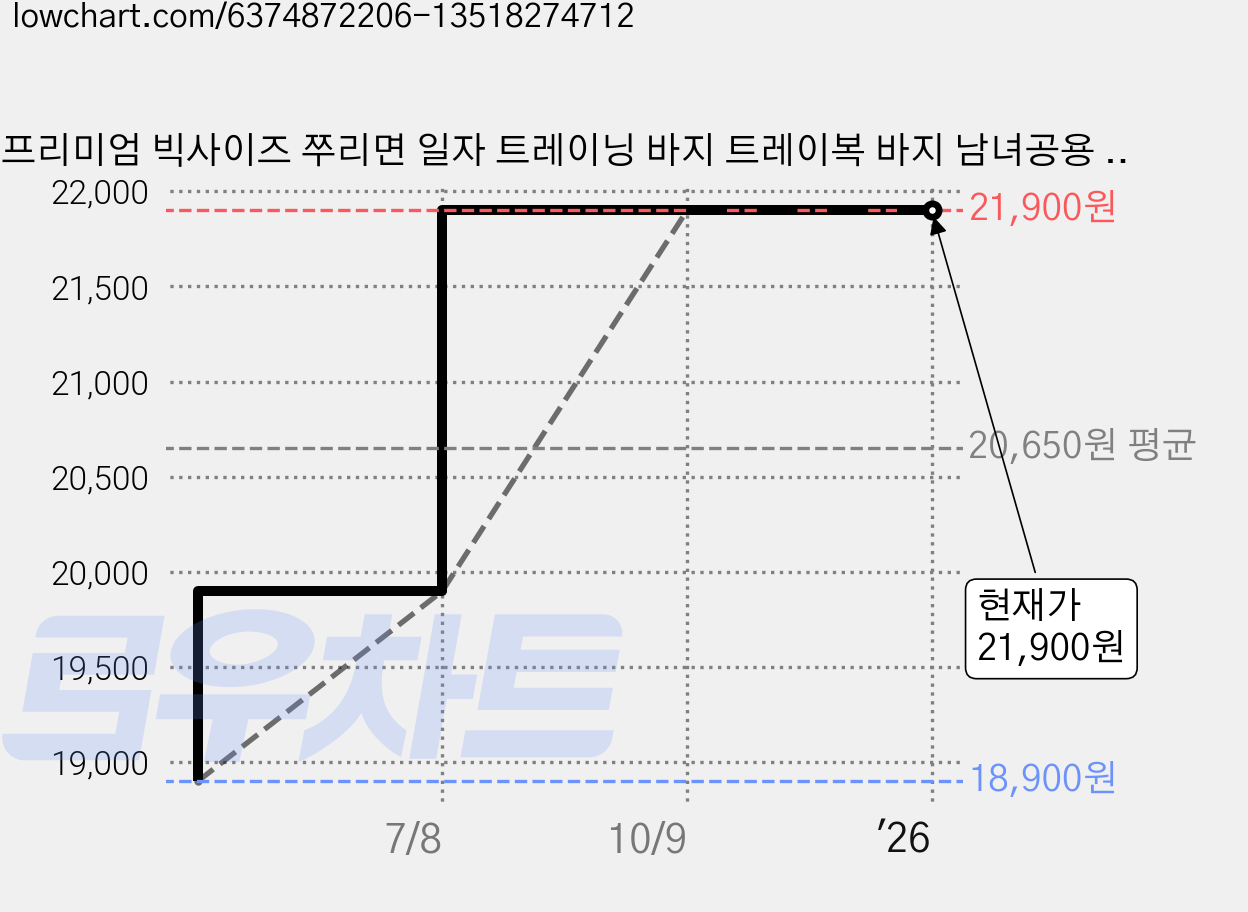 프리미엄 빅사이즈 쭈리면 일자 트레이닝 바지 트레이복 바지 남녀공용 긴바지 하의 가격 변동 차트, 현재가 21,900원, 역대최저가