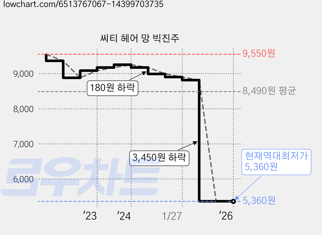 씨티 헤어 망 빅진주 가격 변동 차트, 현재가 5,360원, 역대최저가