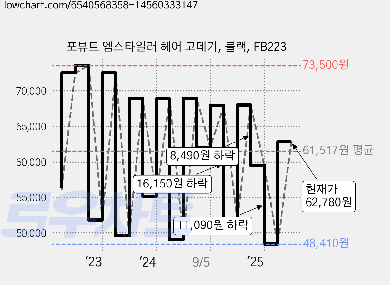 포뷰트 엠스타일러 헤어 고데기, 블랙, FB223 가격 변동 차트, 현재가 62,780원, 관측 최저가 47,900원