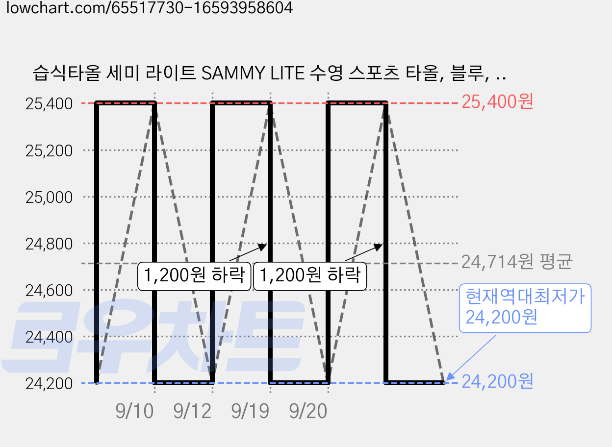 습식타올 세미 라이트 SAMMY LITE 수영 스포츠 타올, 블루, 1개 가격 변동 차트, 현재가 24,200원, 역대최저가