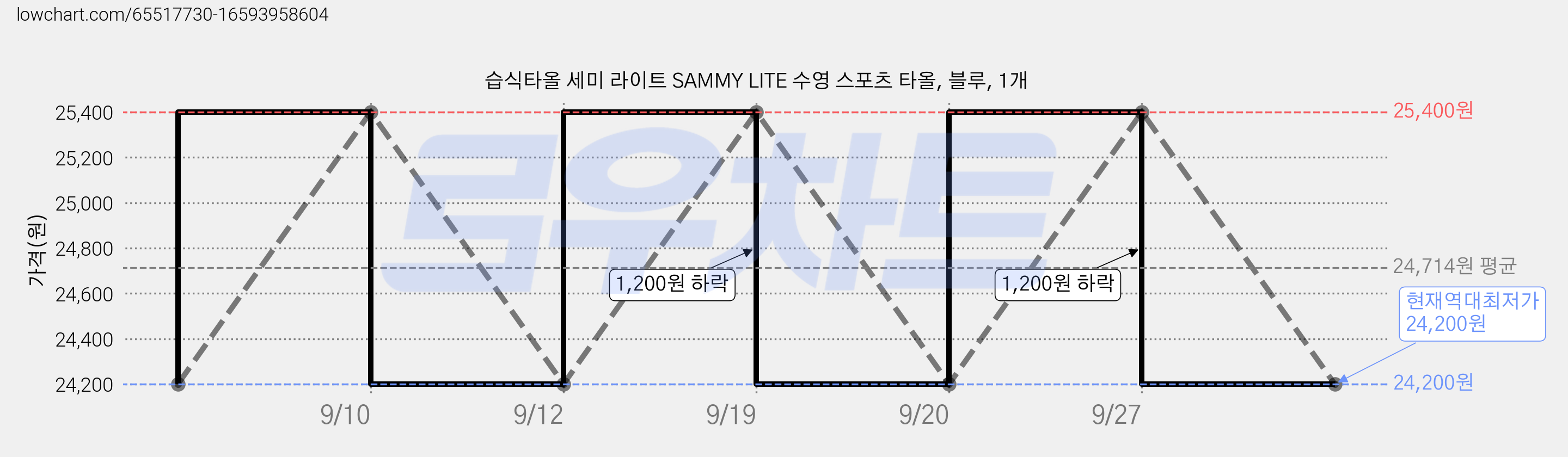 습식타올 세미 라이트 SAMMY LITE 수영 스포츠 타올, 블루, 1개 가격 변동 차트, 현재가 24,200원, 역대최저가
