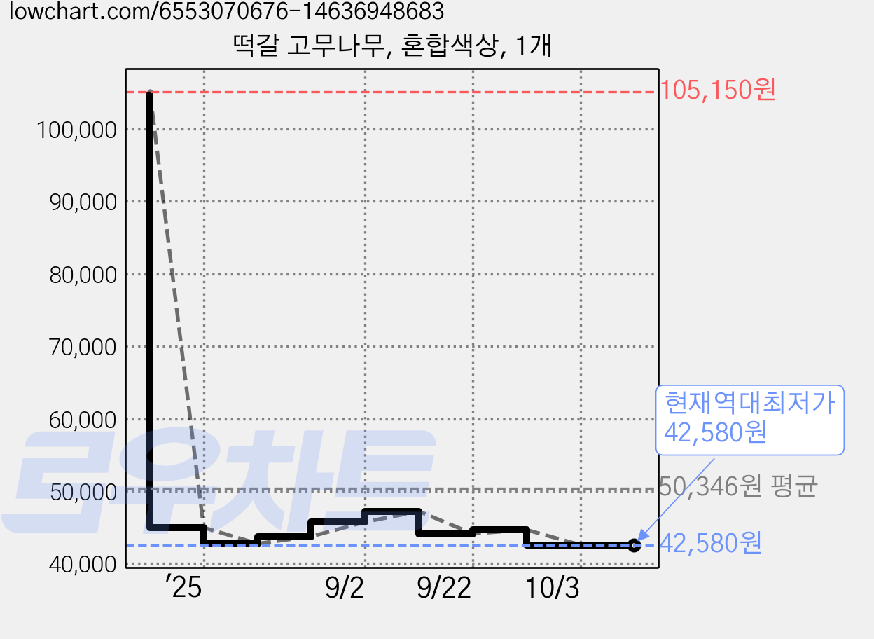 떡갈 고무나무, 혼합색상, 1개 가격 변동 차트, 현재가 42,580원, 역대최저가