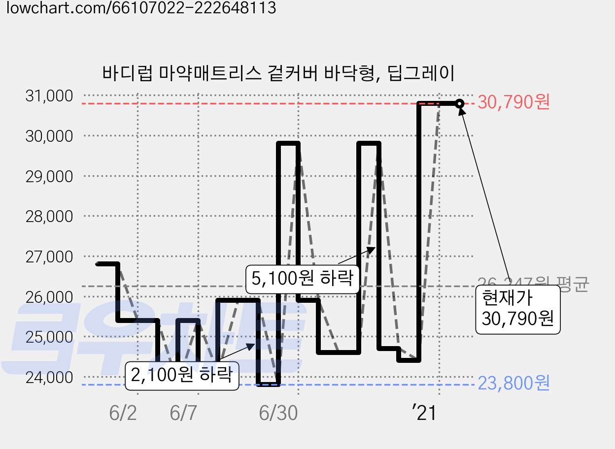바디럽 마약매트리스 겉커버 바닥형, 딥그레이 가격 변동 차트, 현재가 30,790원, 역대최저가