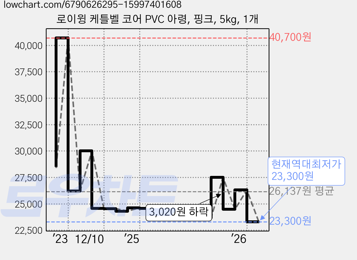 로이윙 케틀벨 코어 PVC 아령, 핑크, 5kg, 1개 가격 변동 차트, 현재가 23,300원, 역대최저가
