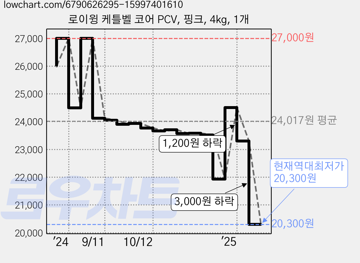 로이윙 케틀벨 코어 PCV, 핑크, 4kg, 1개 가격 변동 차트, 현재가 20,300원, 역대최저가