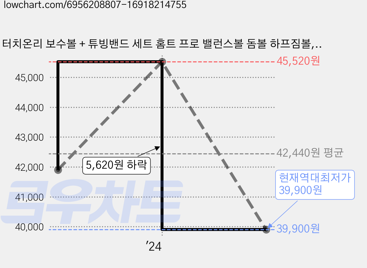 터치온리 보수볼 + 튜빙밴드 세트 홈트 프로 밸런스볼 돔볼 하프짐볼, 그레이 가격 변동 차트, 현재가 39,900원, 역대최저가