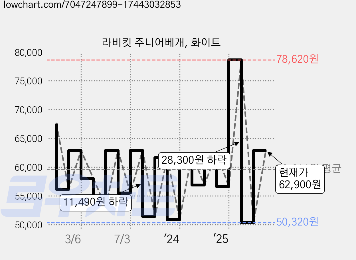 라비킷 주니어베개, 화이트 가격 변동 차트, 현재가 62,900원, 관측 최저가 50,320원
