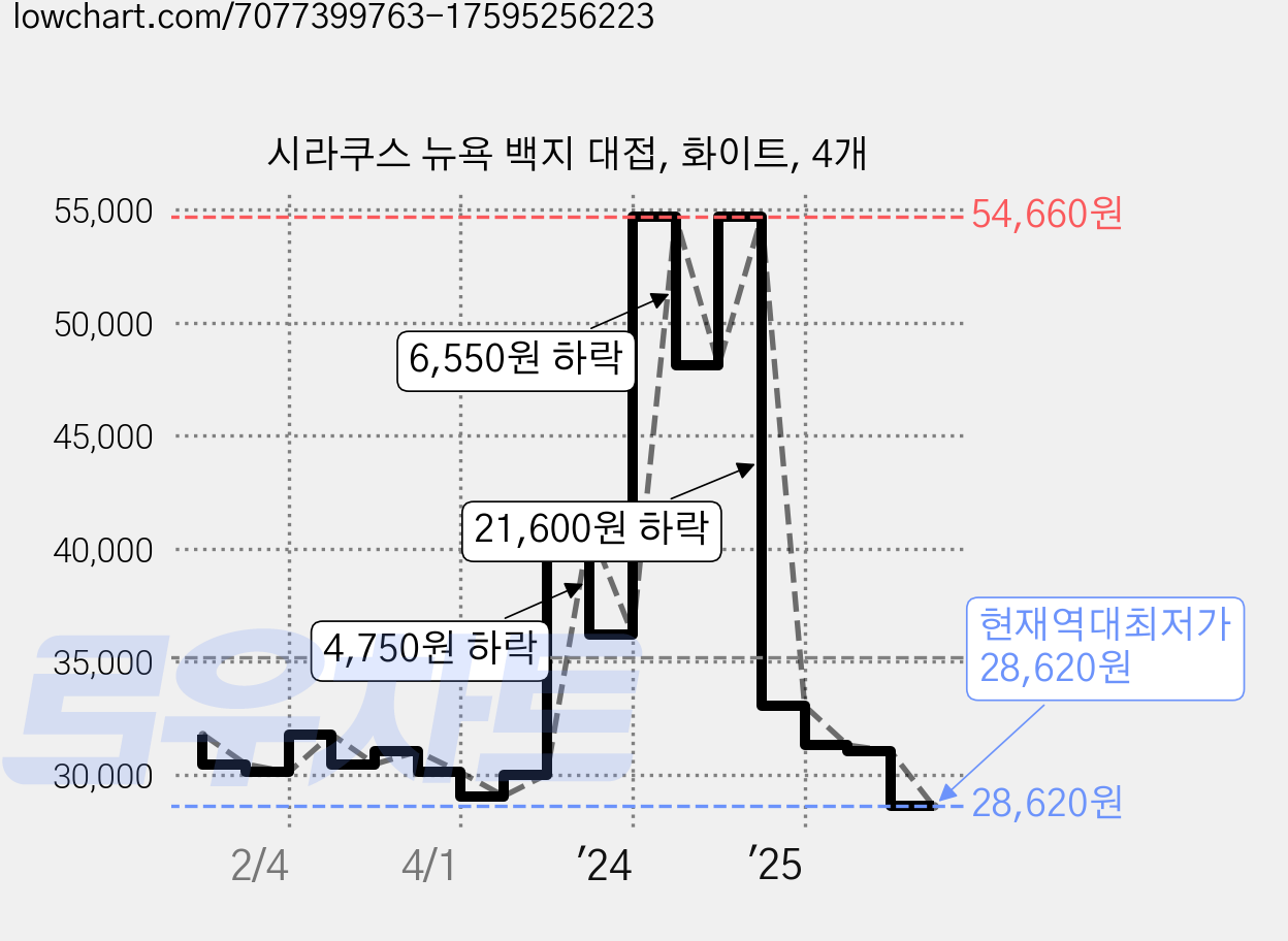 시라쿠스 뉴욕 백지 대접, 화이트, 4개 가격 변동 차트, 현재가 28,620원, 역대최저가