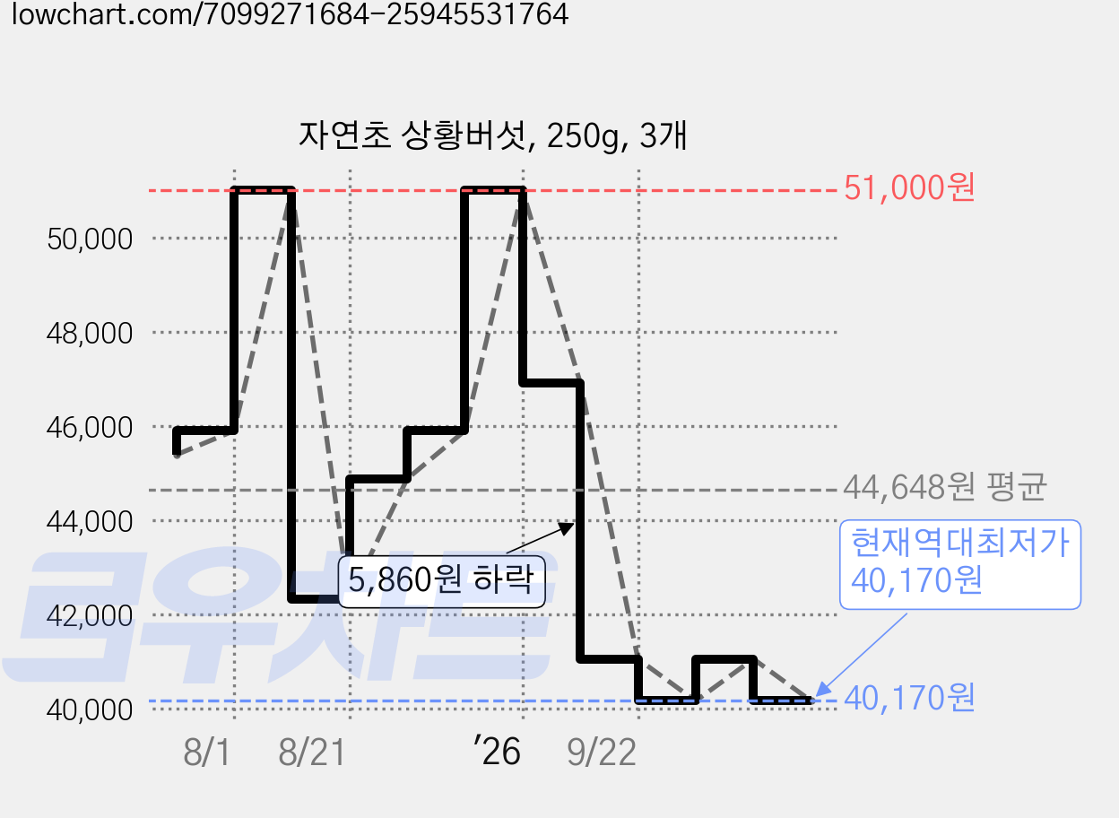 자연초 상황버섯, 250g, 3개 가격 변동 차트, 현재가 40,170원, 역대최저가