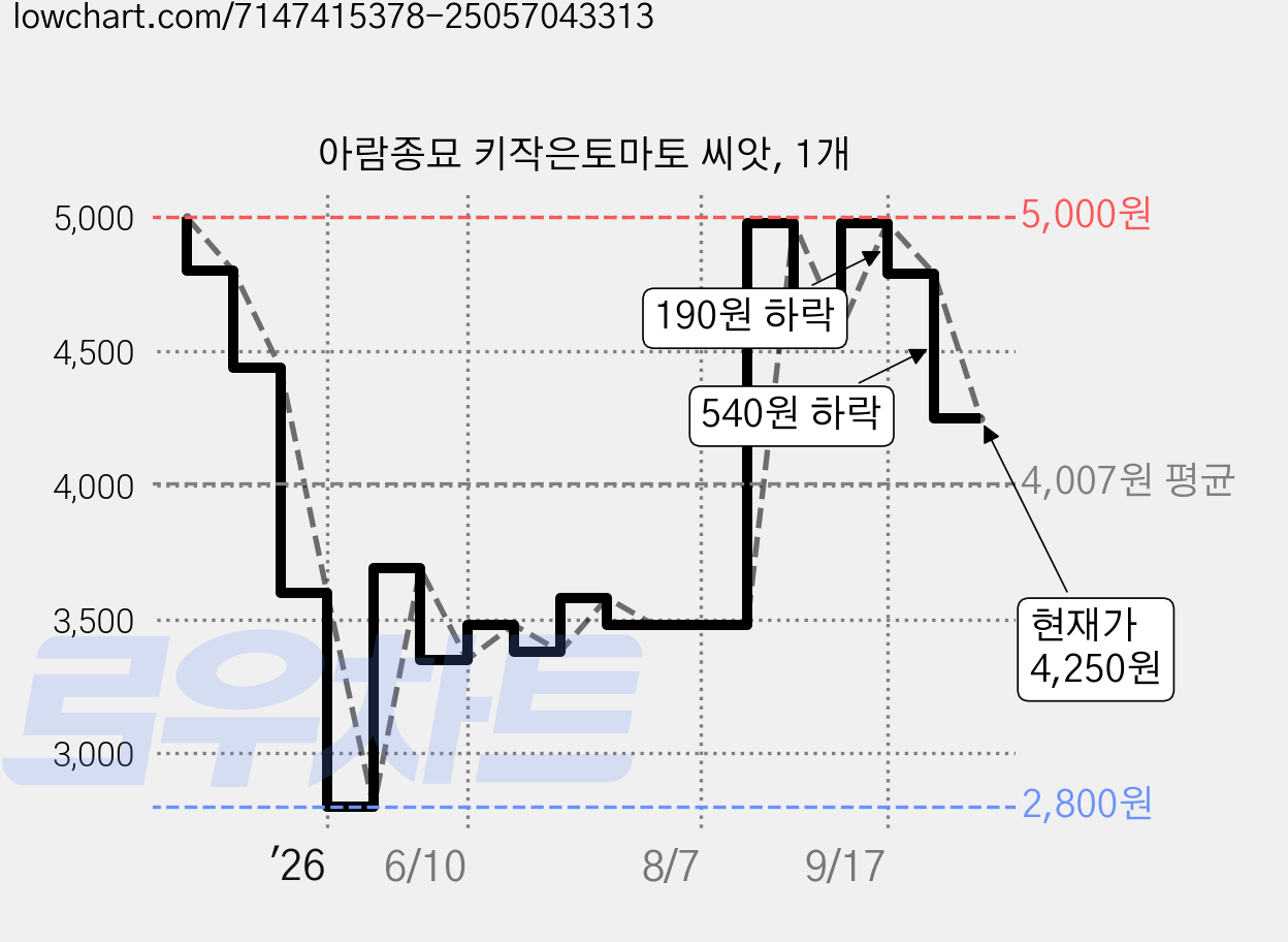 아람종묘 키작은토마토 씨앗, 1개 가격 변동 차트, 현재가 4,250원, 관측 최저가 2,800원