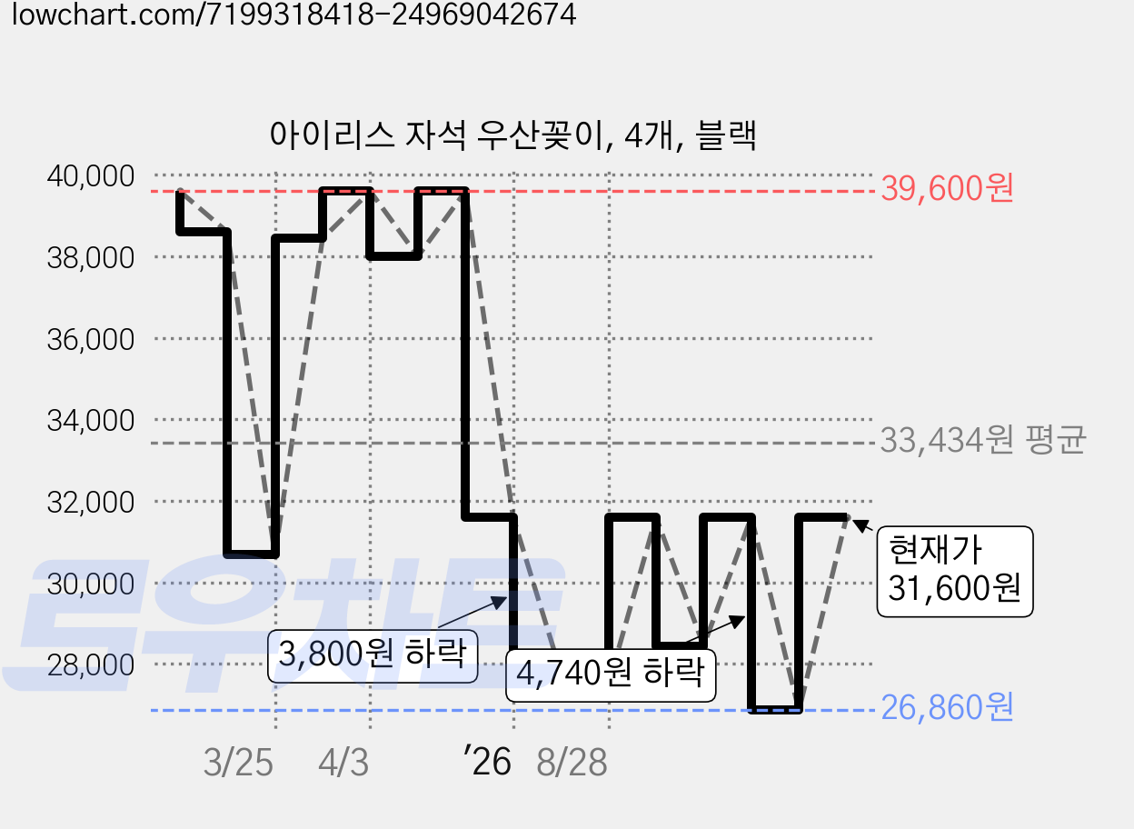아이리스 자석 우산꽂이, 4개, 블랙 가격 변동 차트, 현재가 31,600원, 관측 최저가 26,860원