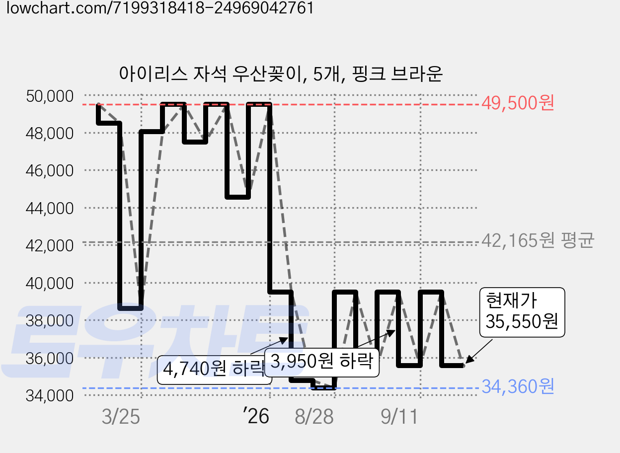 아이리스 자석 우산꽂이, 5개, 핑크 브라운 가격 변동 차트, 현재가 35,550원, 관측 최저가 34,360원