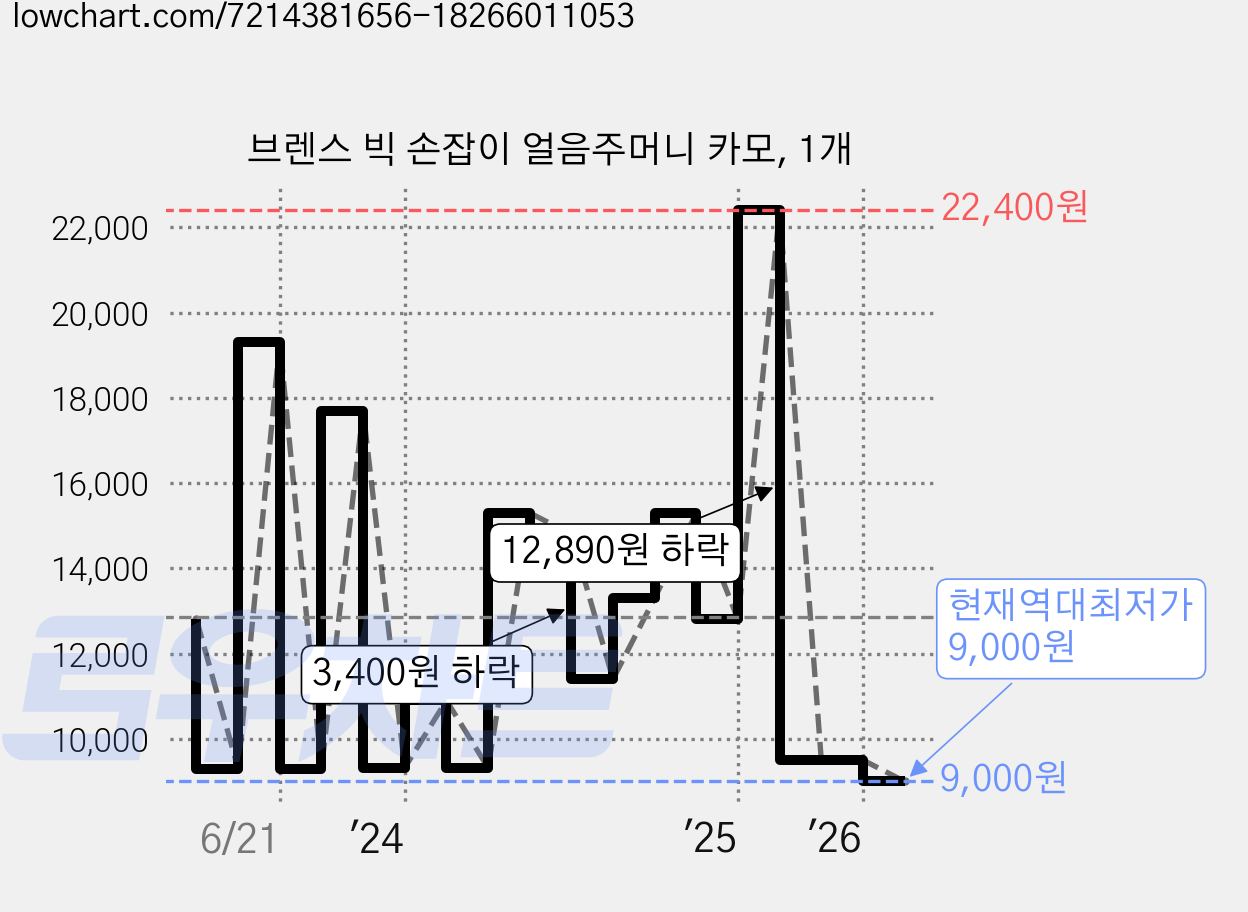 브렌스 빅 손잡이 얼음주머니 카모, 1개 가격 변동 차트, 현재가 9,000원, 역대최저가