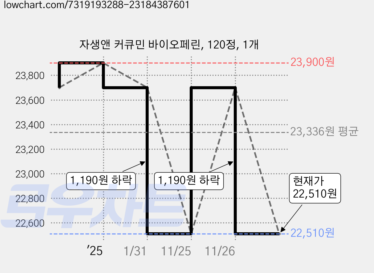 자생앤 커큐민 바이오페린, 120정, 1개 가격 변동 차트, 현재가 22,510원, 관측 최저가 20,520원