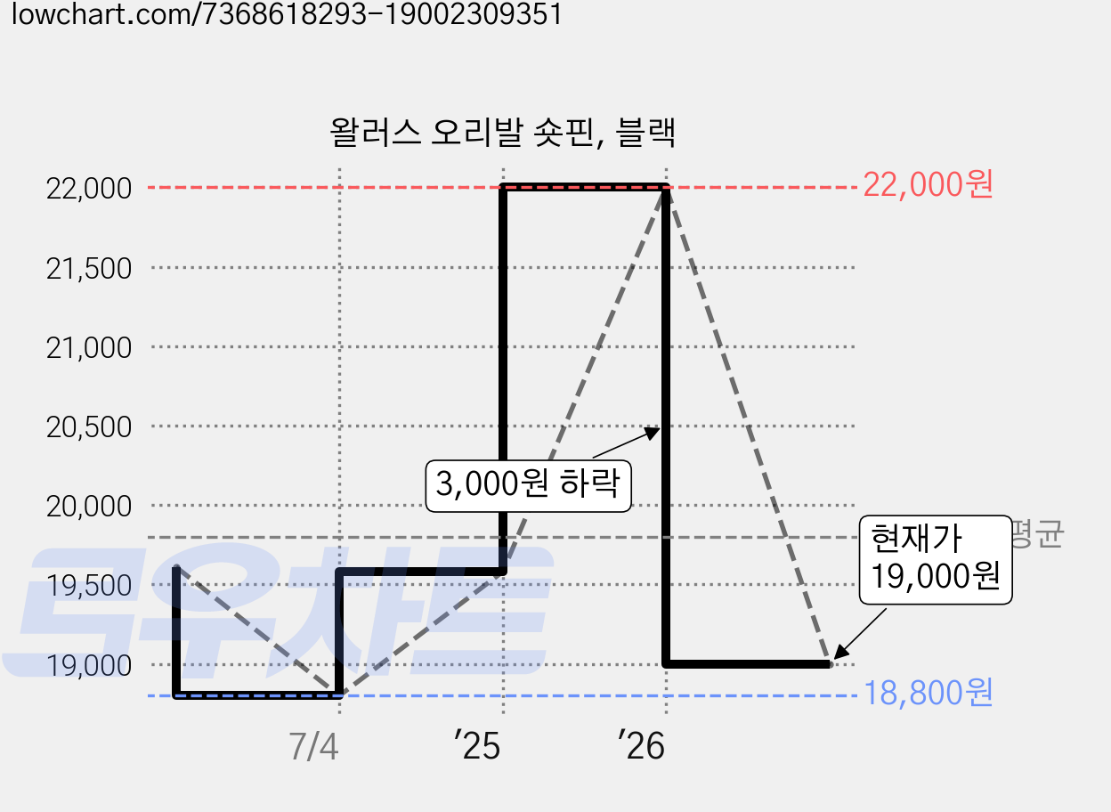 왈러스 오리발 숏핀, 블랙 가격 변동 차트, 현재가 19,000원, 관측 최저가 18,800원