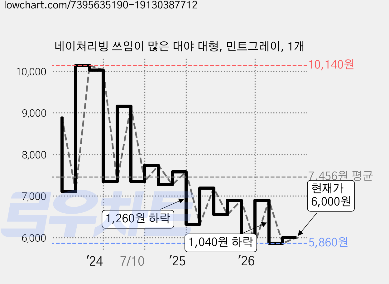 네이쳐리빙 쓰임이 많은 대야 대형, 민트그레이, 1개 가격 변동 차트, 현재가 6,000원, 관측 최저가 5,860원
