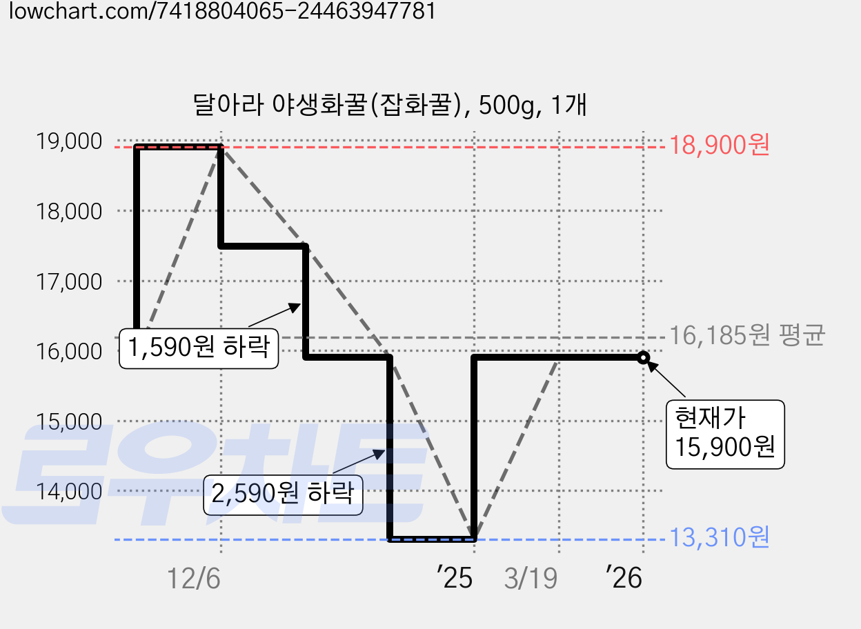 달아라 야생화꿀(잡화꿀), 500g, 1개 가격 변동 차트, 현재가 15,900원, 관측 최저가 13,310원