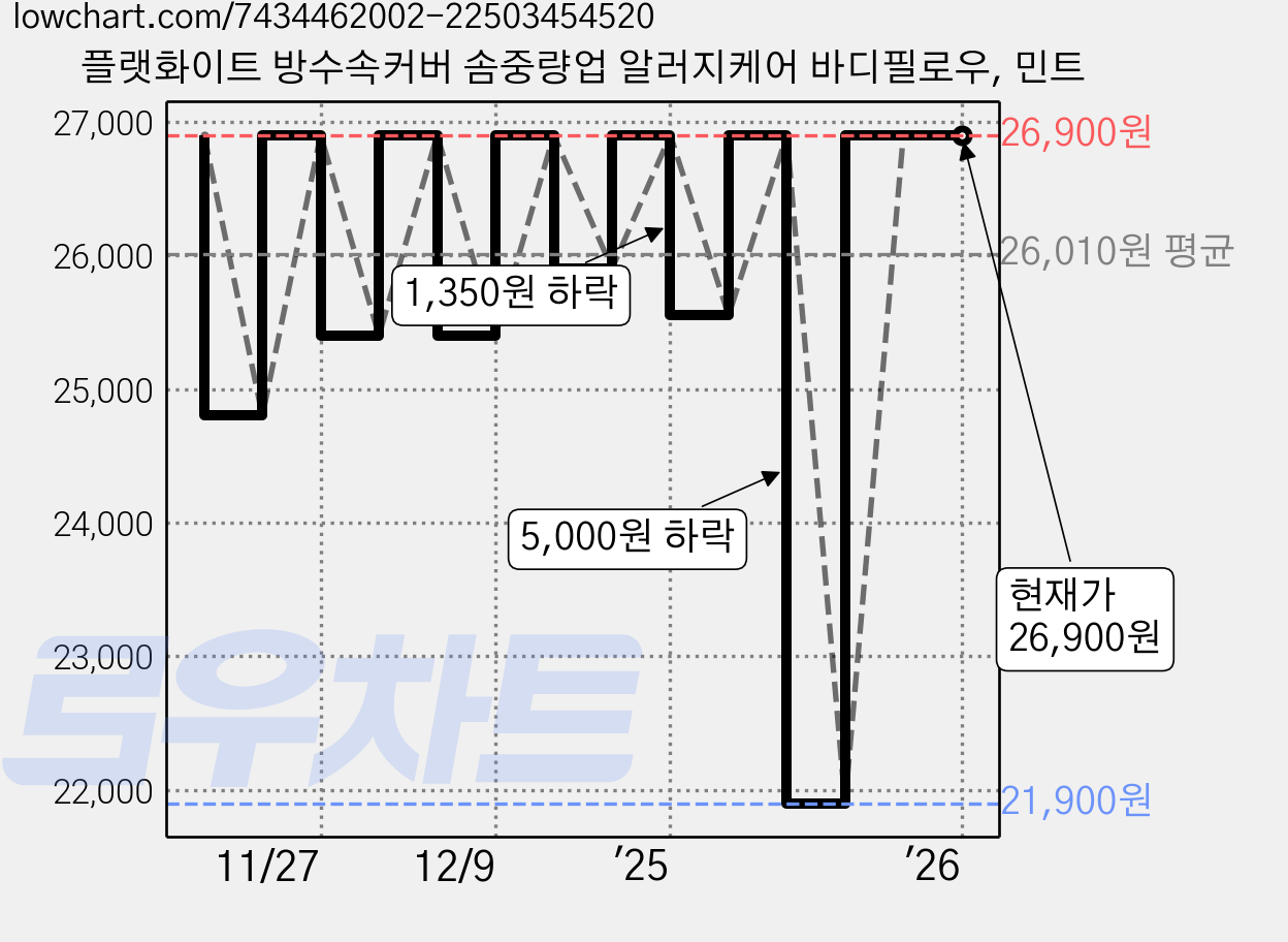 플랫화이트 방수속커버 솜중량업 알러지케어 바디필로우, 민트 가격 변동 차트, 현재가 26,900원, 관측 최저가 21,900원