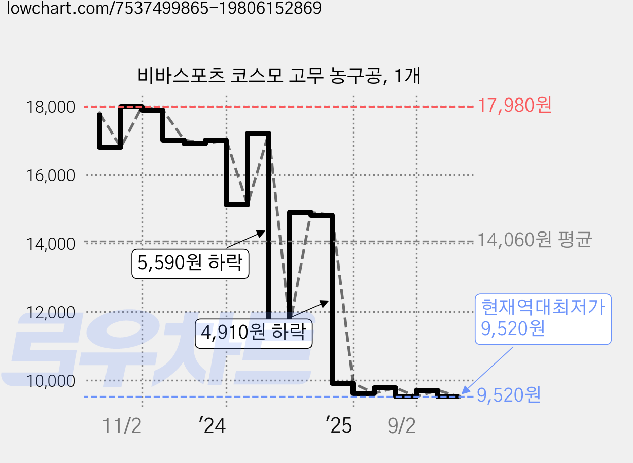 비바스포츠 코스모 고무 농구공, 1개 가격 변동 차트, 현재가 9,520원, 역대최저가