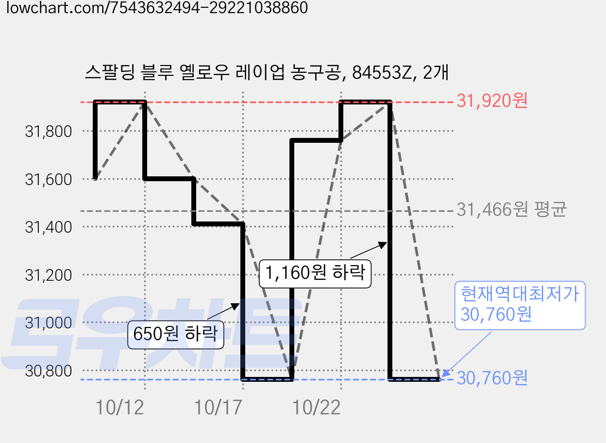 스팔딩 블루 옐로우 레이업 농구공, 84553Z, 2개 가격 변동 차트, 현재가 30,760원, 역대최저가