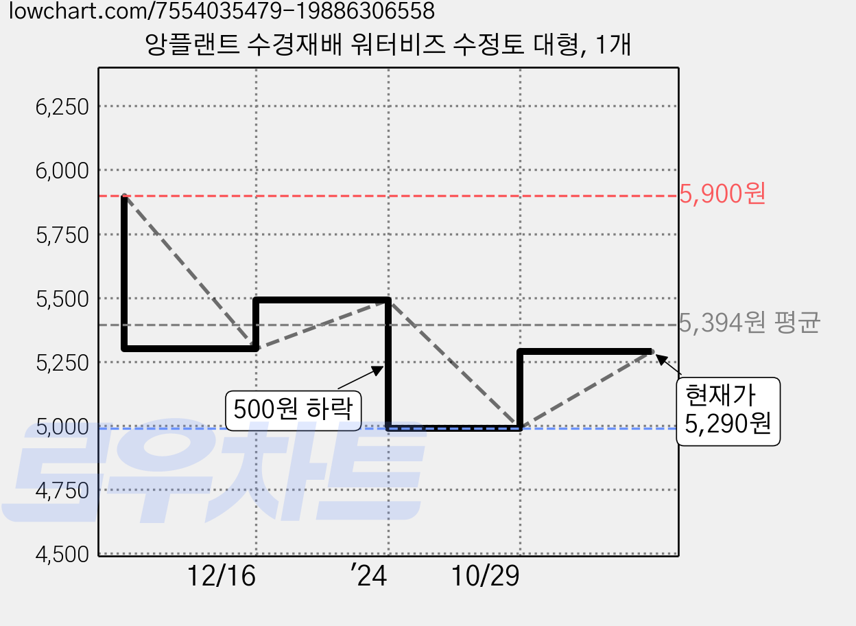 앙플랜트 수경재배 워터비즈 수정토 대형, 1개 가격 변동 차트, 현재가 5,290원, 관측 최저가 4,990원
