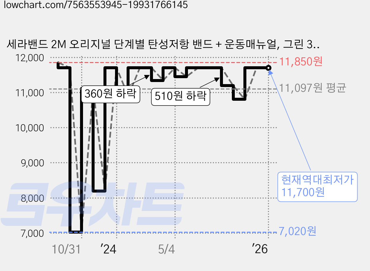 세라밴드 2M 오리지널 단계별 탄성저항 밴드 + 운동매뉴얼, 그린 3단계, 1개 가격 변동 차트, 현재가 11,700원, 역대최저가