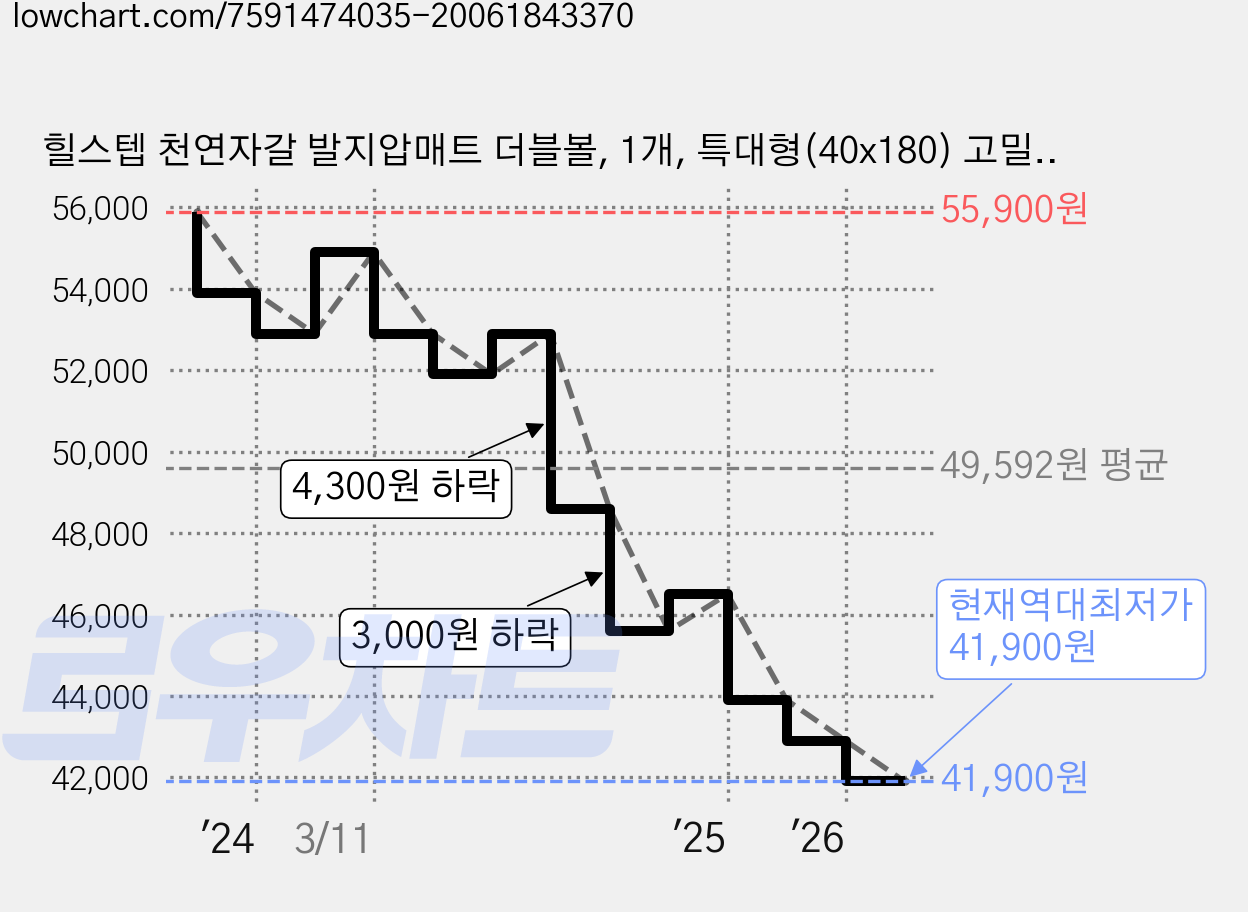 힐스텝 천연자갈 발지압매트 더블볼, 1개, 특대형(40x180) 고밀도 가격 변동 차트, 현재가 41,900원, 역대최저가