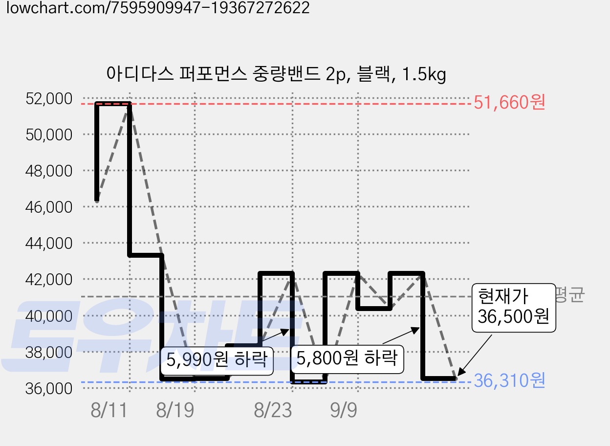 아디다스 퍼포먼스 중량밴드 2p, 블랙, 1.5kg 가격 변동 차트, 현재가 36,500원, 관측 최저가 36,310원