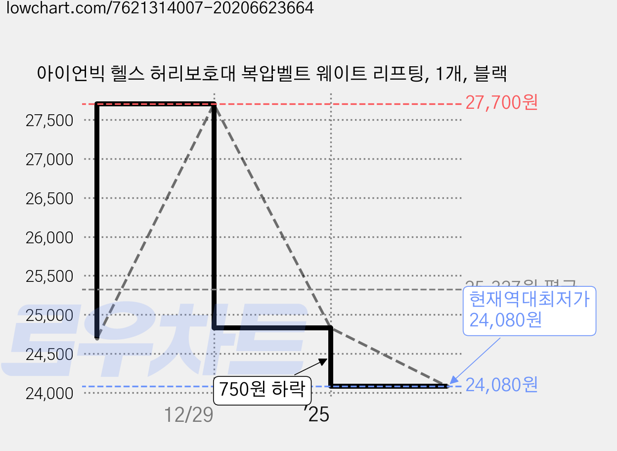 아이언빅 헬스 허리보호대 복압벨트 웨이트 리프팅, 1개, 블랙 가격 변동 차트, 현재가 24,080원, 역대최저가