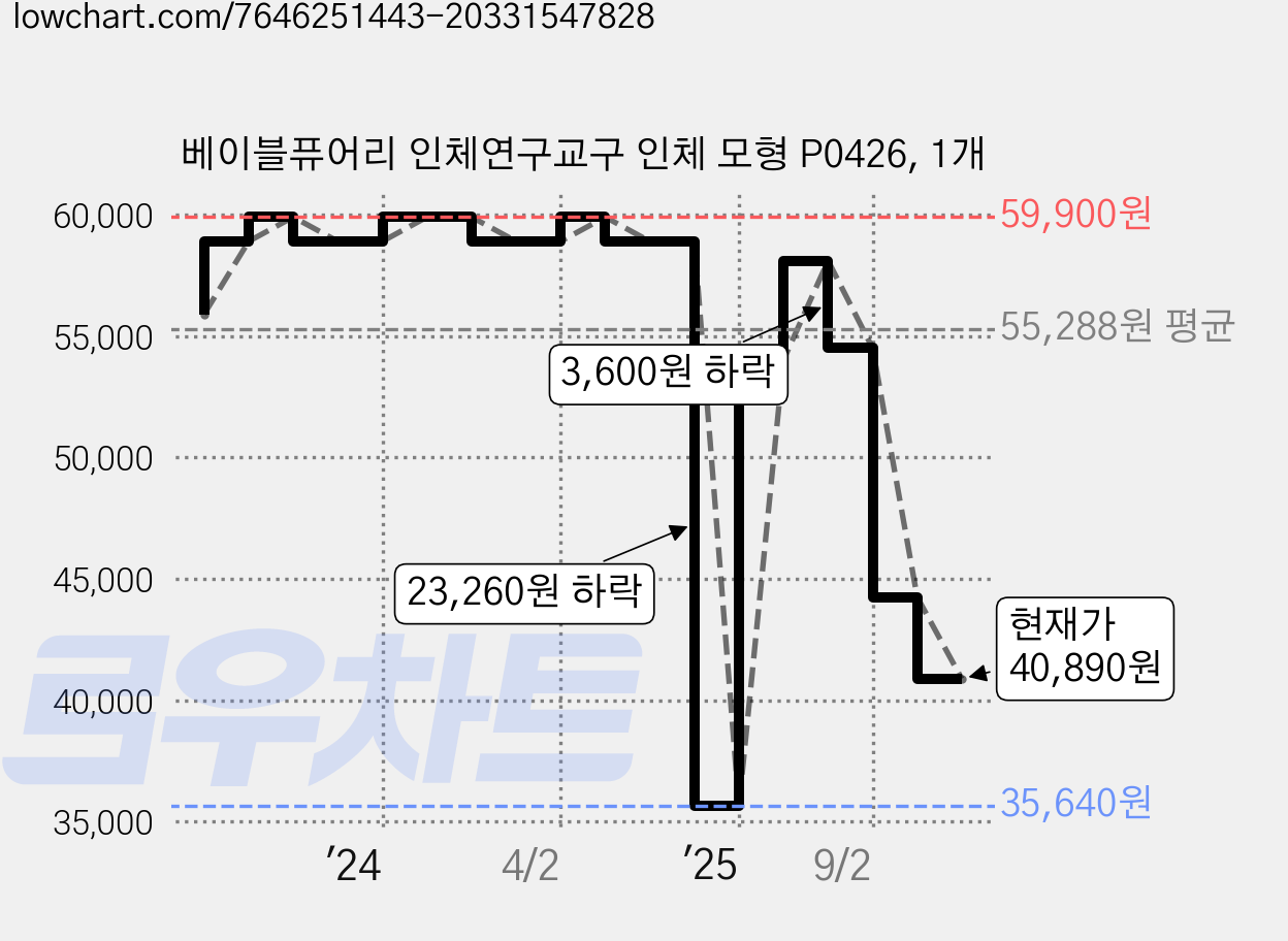 베이블퓨어리 인체연구교구 인체 모형 P0426, 1개 가격 변동 차트, 현재가 40,890원, 관측 최저가 35,640원