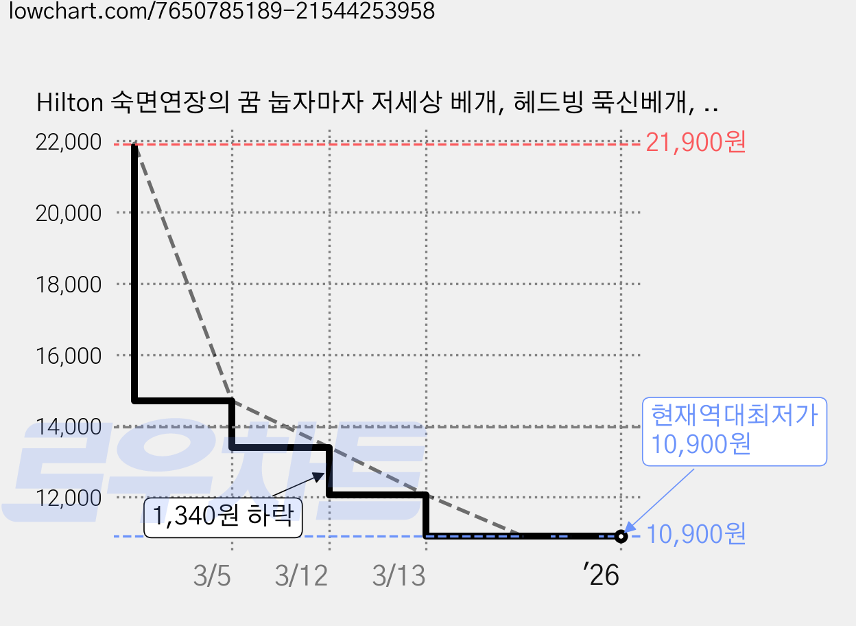 Hilton 숙면연장의 꿈 눕자마자 저세상 베개, 헤드빙 푹신베개, 1개 가격 변동 차트, 현재가 10,900원, 역대최저가