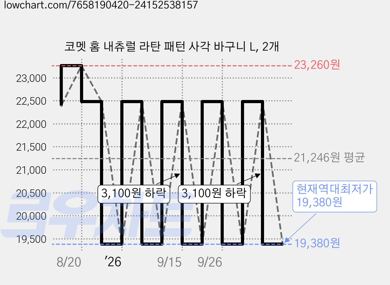 코멧 홈 내츄럴 라탄 패턴 사각 바구니 L, 2개 가격 변동 차트, 현재가 19,380원, 역대최저가