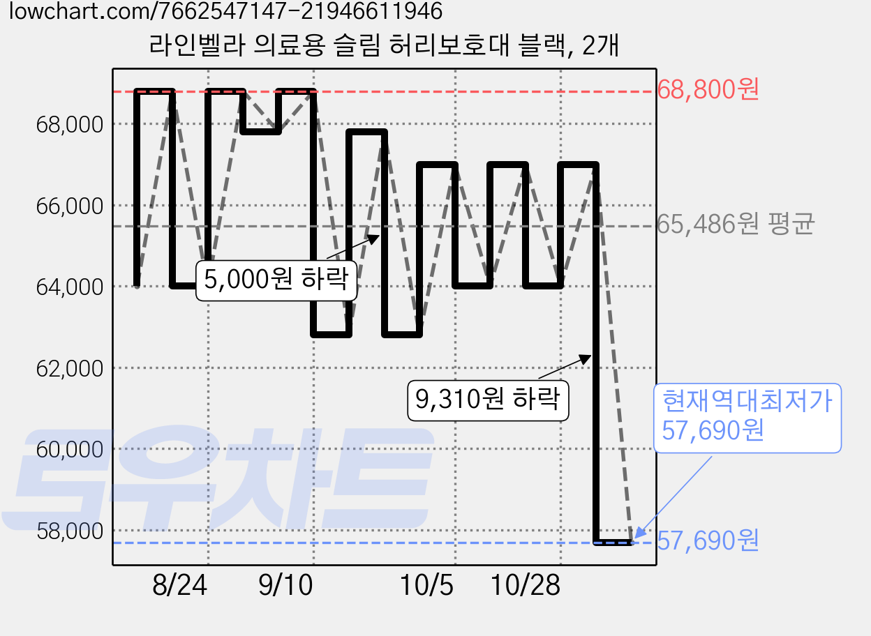 라인벨라 의료용 슬림 허리보호대 블랙, 2개 가격 변동 차트, 현재가 57,690원, 역대최저가